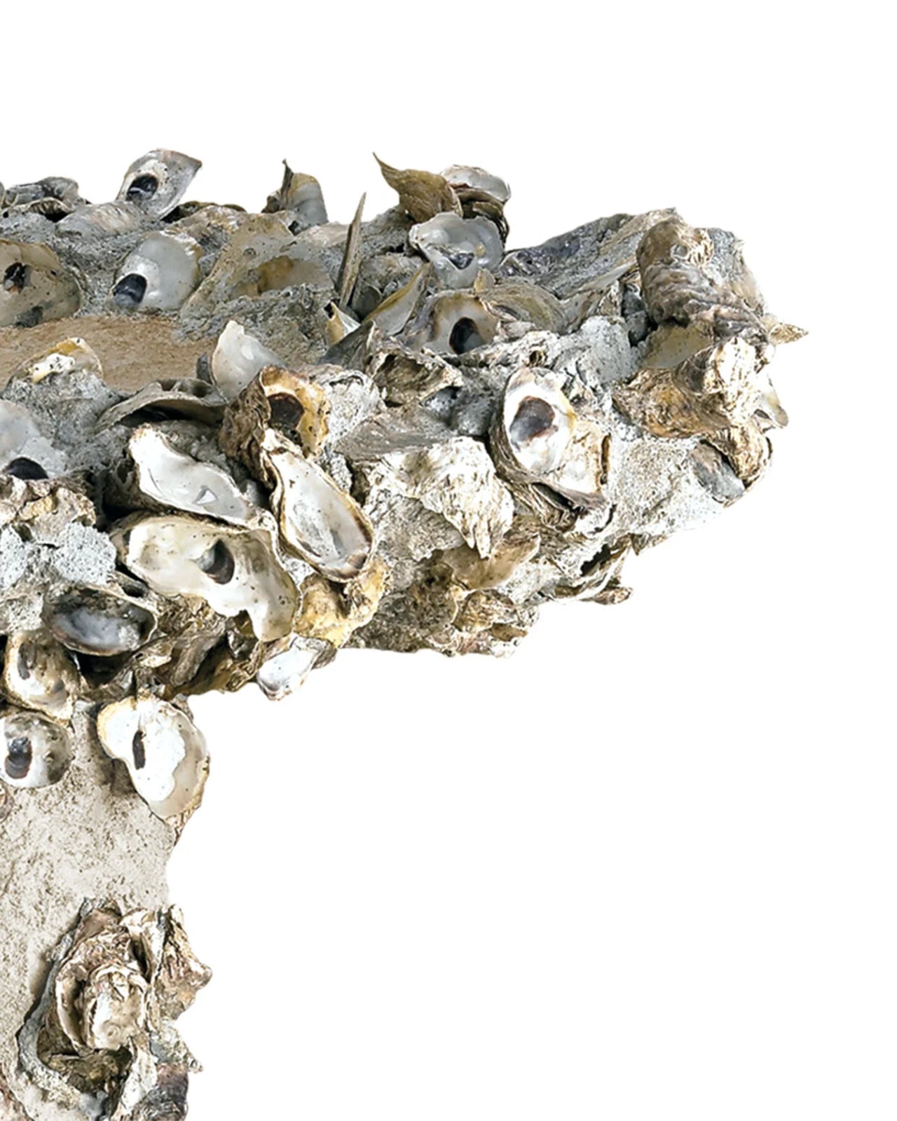 Oyster Shell Bird Bath