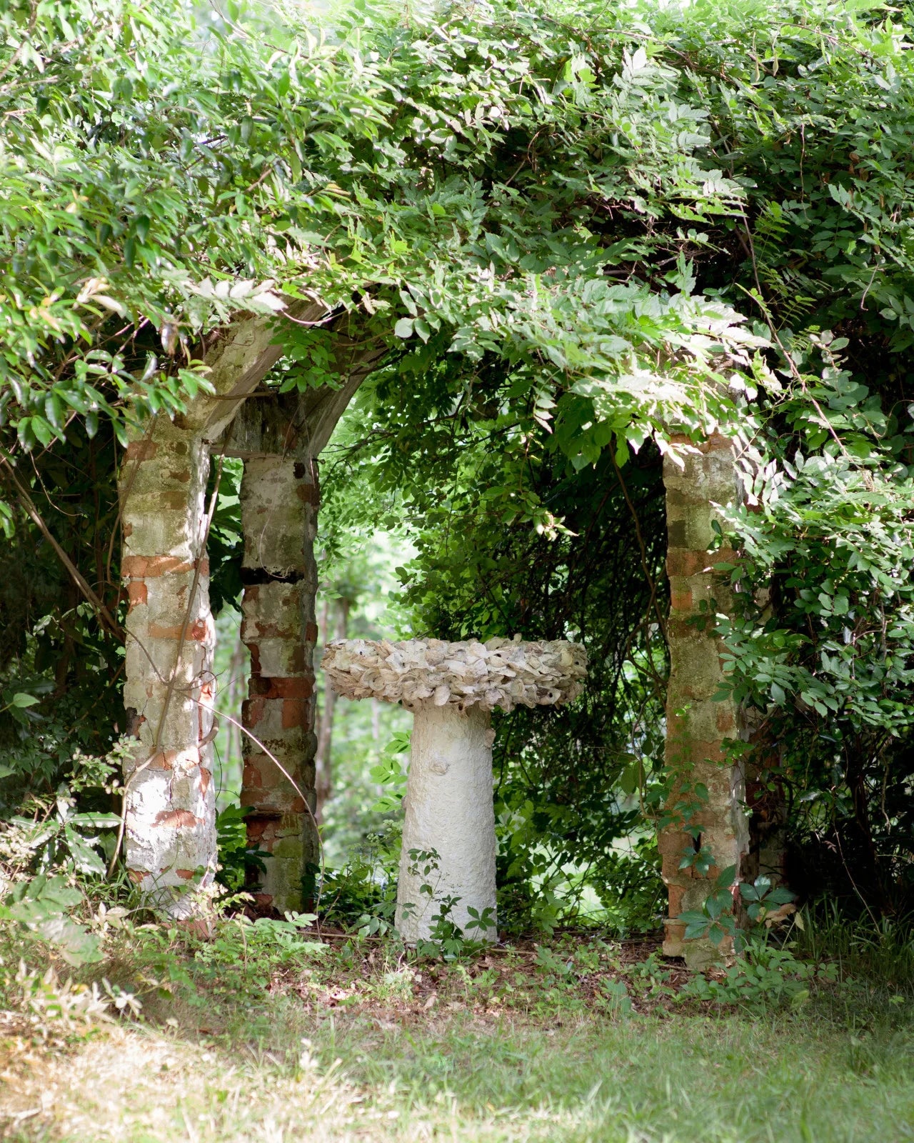 Oyster Shell Bird Bath