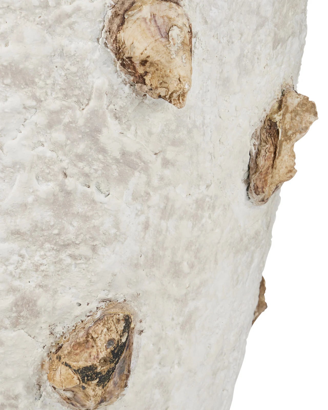 Oyster Shell Large Planter