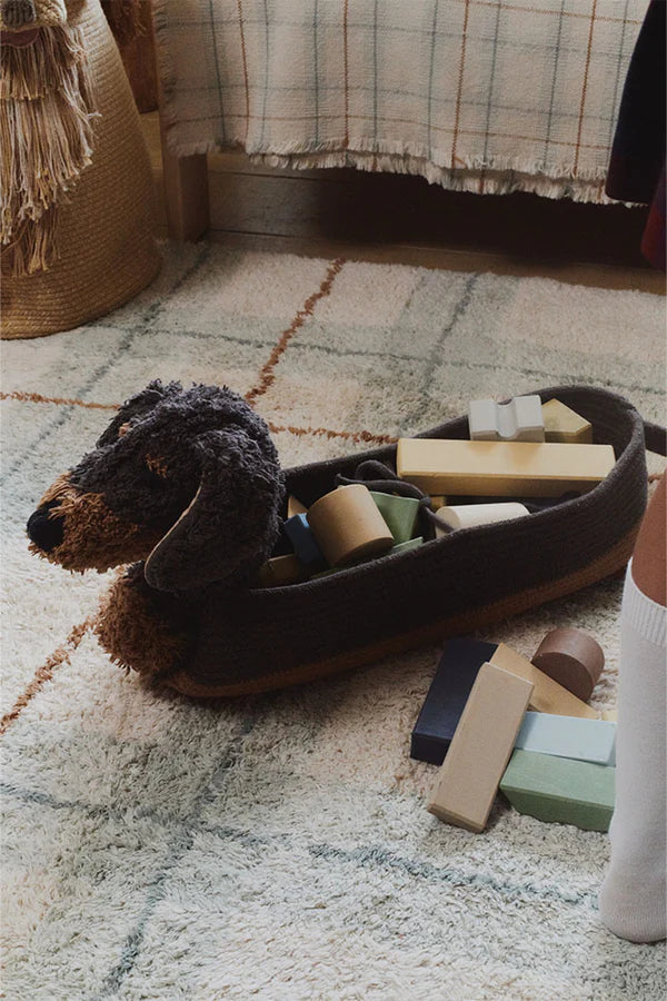 Basket Sparky